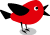 Aktion